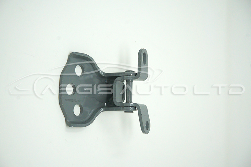 HINGE ASM-FRT S/D LWR