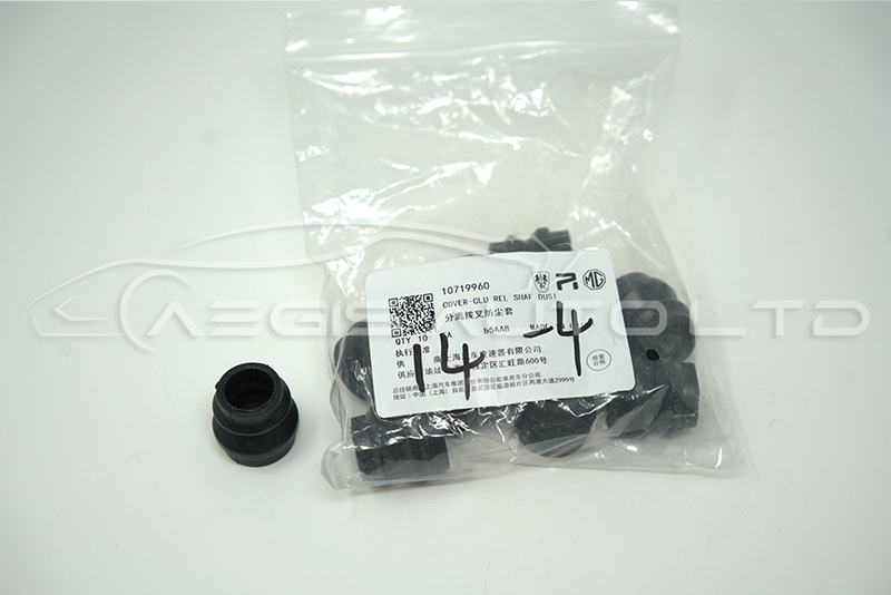 COVER-CLU REL SHAF DUST